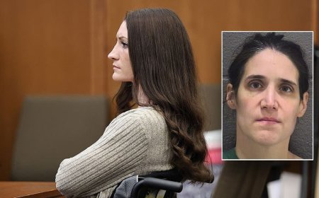Accused NC killer mom plans insanity defense — as retired judge says more may follow Lindsay Clancy strategy