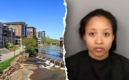 South Carolina woman accused of stabbing Lyft driver 11 times claims mental health crisis