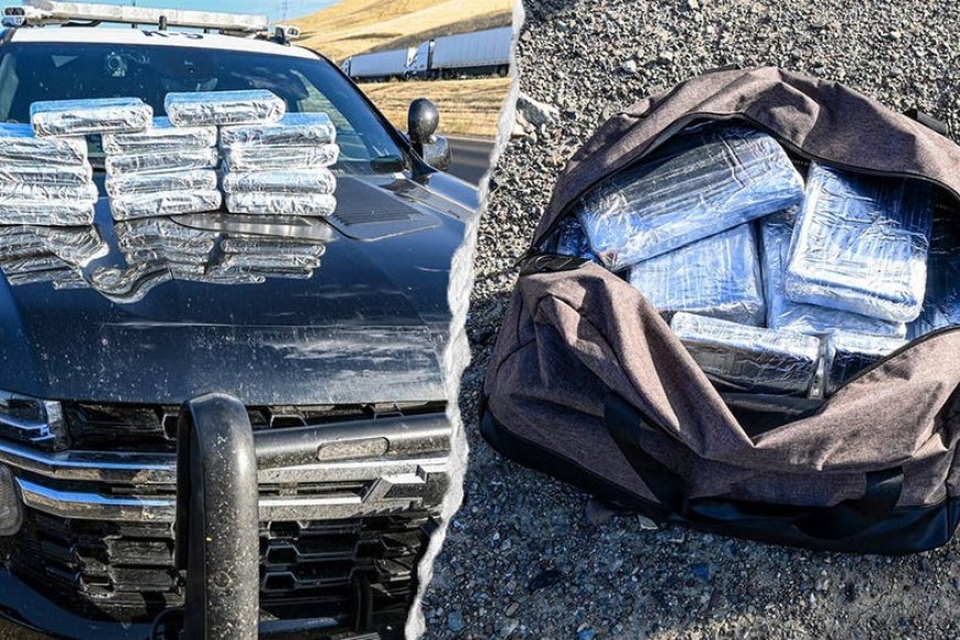 Routine California traffic stop leads to seizure of 30 pounds of cocaine worth more than $800K