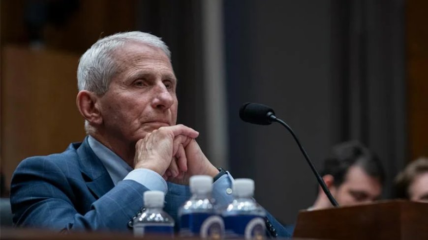 Chaos Agent: Anthony Fauci Represents A System That Needs To Be Cleansed