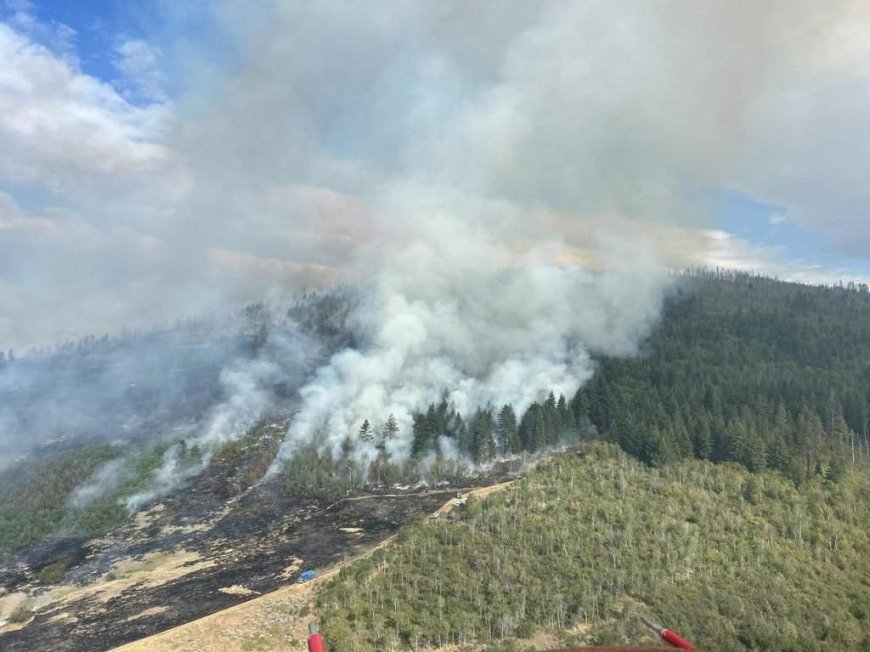 B.C. wildfires destroy lakeside homes, with 30 new added in past 24 hours
