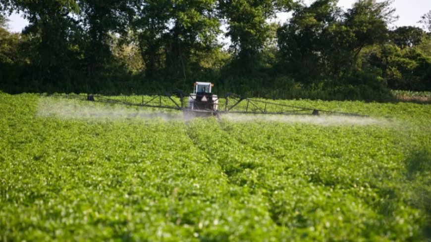 STUDY: Exposure to Fungicides and Insecticides Linked to Changes in Puberty Onset in Girls