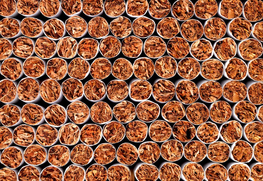 More than 4.3M illegal cigarettes seized by New Brunswick peace officers