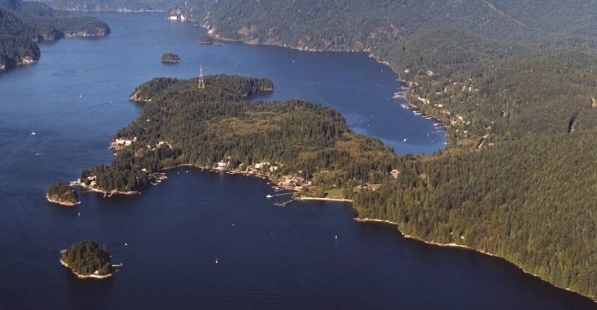 Wildfire breaks out in Belcarra Park near Port Moody, Anmore