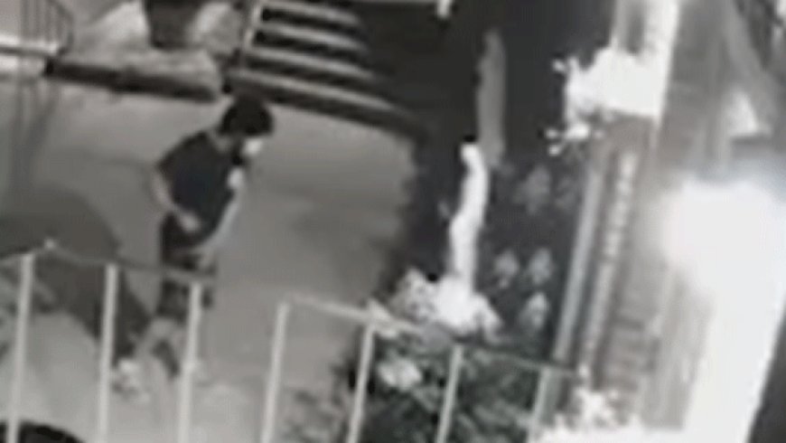Masked man caught on camera smashing Virgin Mary statue with a hammer outside NYC church