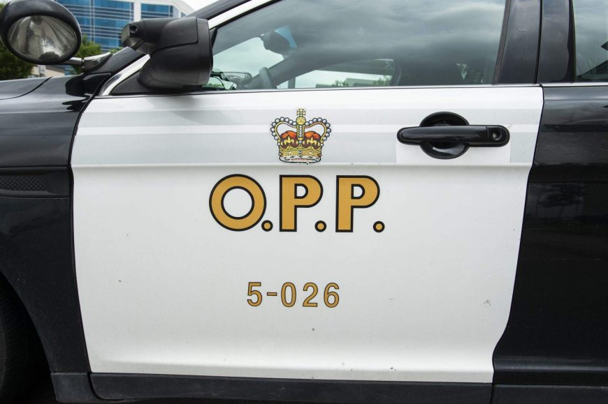OPP says 8 people died on roads, waterways during deadliest weekend of 2026 so far