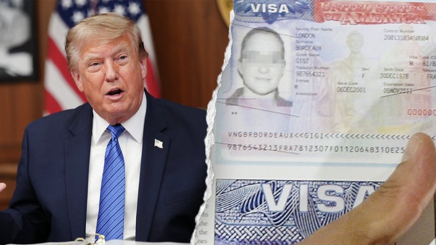 Foreign drunk drivers could face swift boot out of country under Trump's 'America first' crackdown