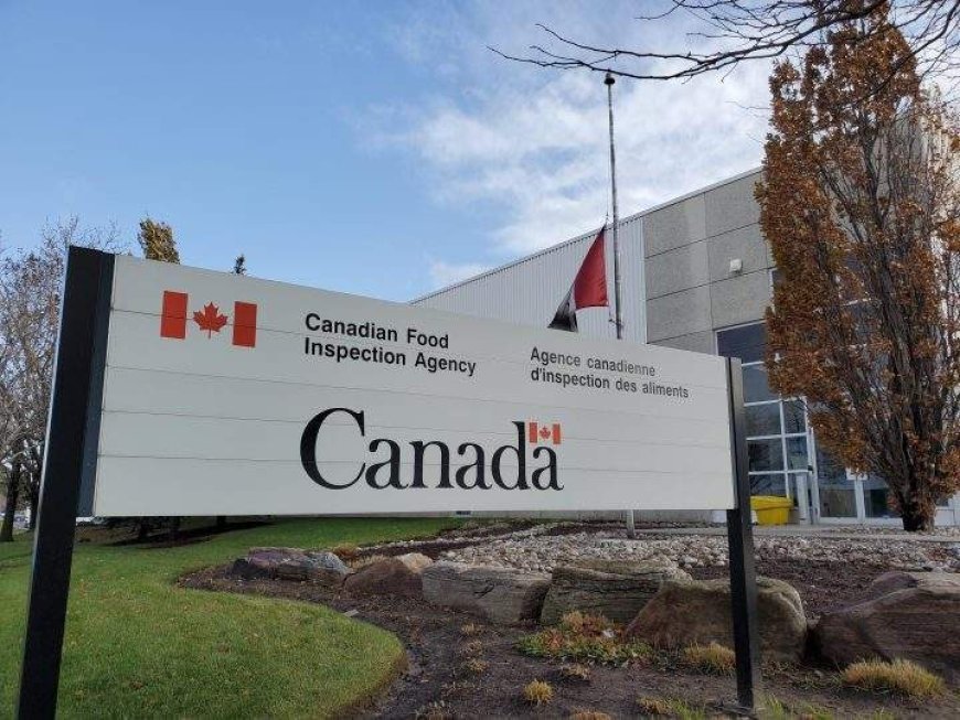 Compliments’ smashed 100% chicken burgers are being recalled in Canada