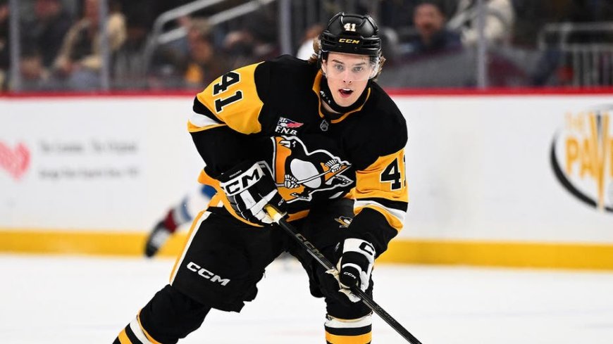 The Pittsburgh Penguins may have just given out one of the riskiest contracts in NHL history