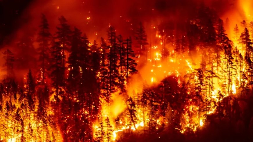 Study: Wildfire Smoke an Increasing Threat To Babies