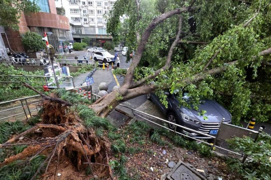 Air Canada flights resume following Typhoon Dolphin in southern China