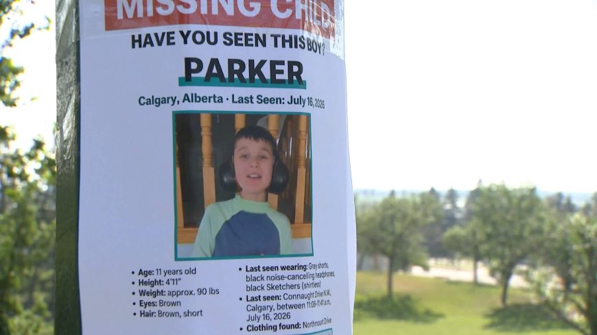 Alberta to review Amber Alert criteria and day home after death of Calgary boy