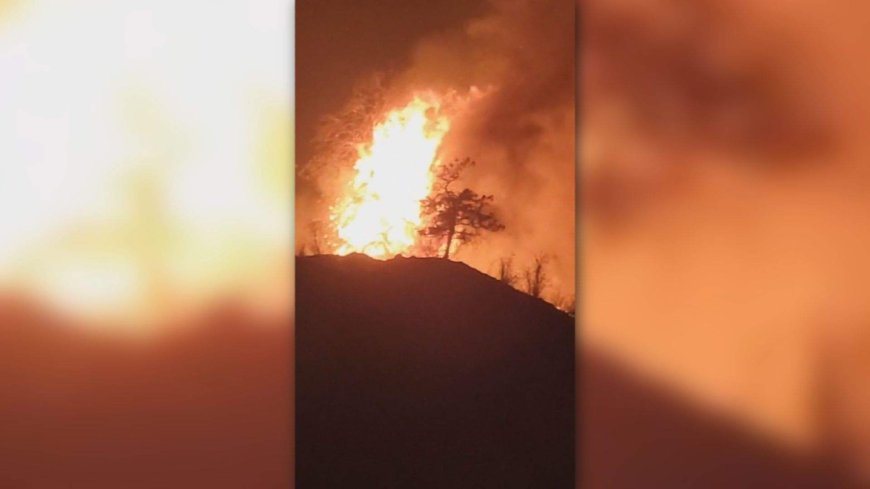 Animal sanctuary among evacuees of Summerland wildfire