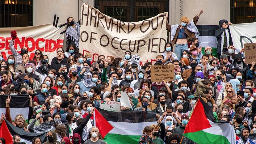 Fox News Campus Radicals Newsletter: Socialist streamer scrapped, a campus hate alert and coddled college kids