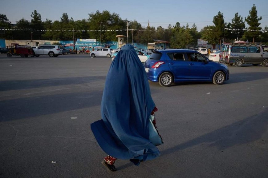 Afghan advocates flag five years of Taliban rule