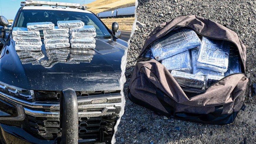 Routine California traffic stop leads to seizure of 30 pounds of cocaine worth more than $800K