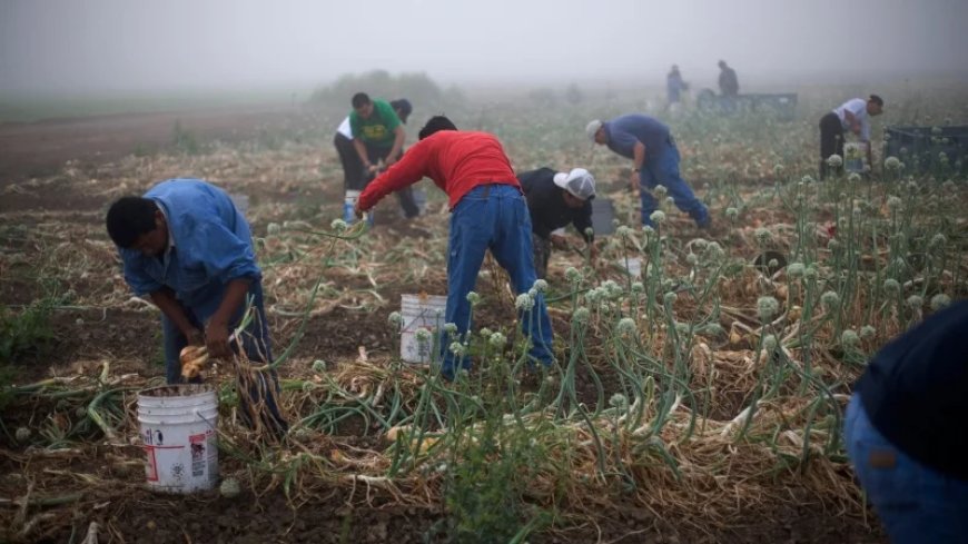 Hundreds of Rural Communities in US Are Already Majority-Minority