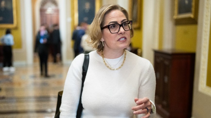 JONATHAN TURLEY: Former Sen Kyrsten Sinema fights affair lawsuit invoking centuries-old marriage tort