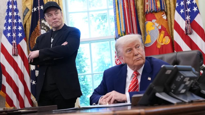 Musk’s $100 Million Gamble Helps Mend Rift With Trump