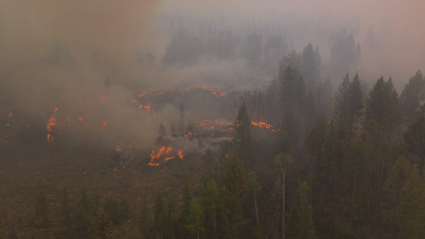 More evacuees return home to Summerland as firefighting efforts move to northwest