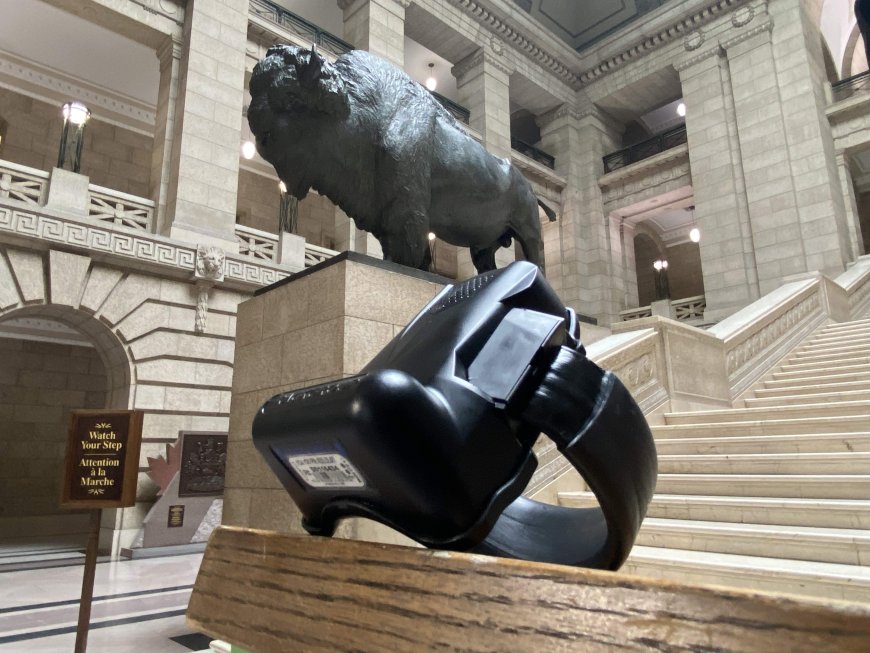 Winnipeg commercial break-ins blamed on 2 men wearing ankle monitors