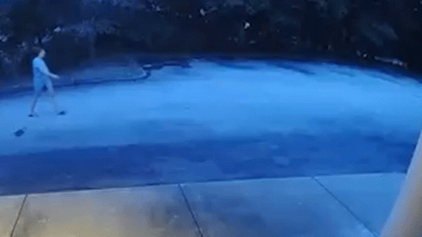 Manhunt intensifies for armed woman after veteran Massachusetts police officer found dead at home