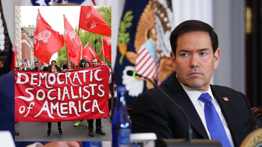 RNC warns Democrats face 'political suicide' after DSA praises Fidel Castro, demands Rubio's prosecution