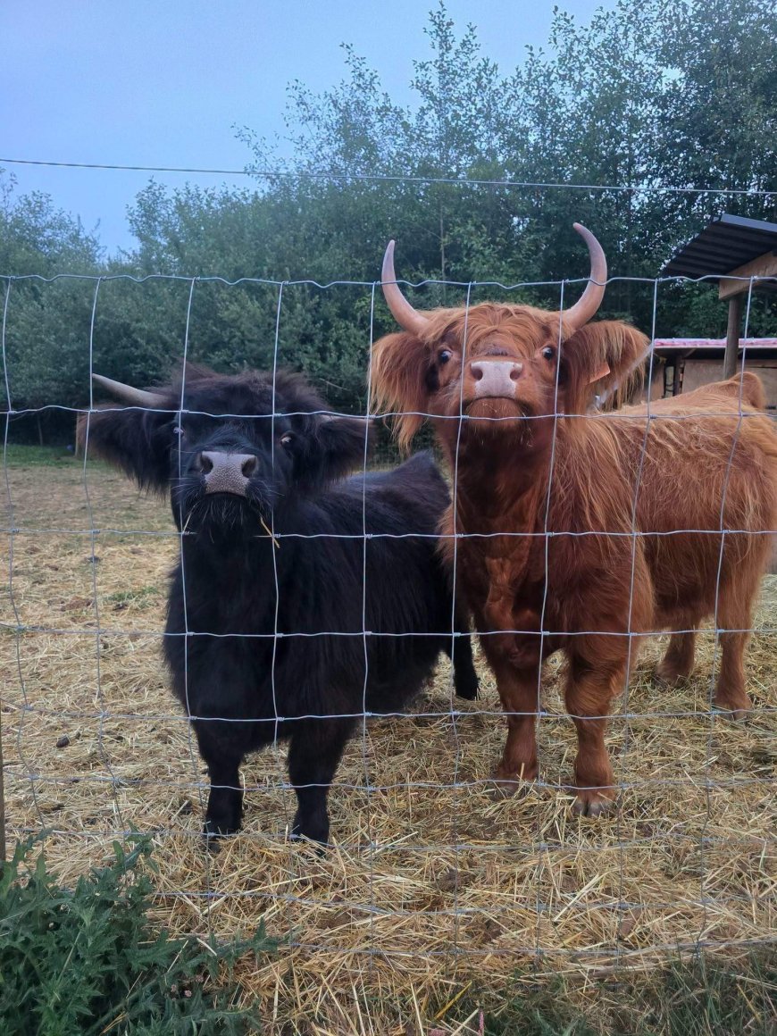 Farmers moving to Nova Scotia where farm costs same as 1-bedroom condo in B.C.
