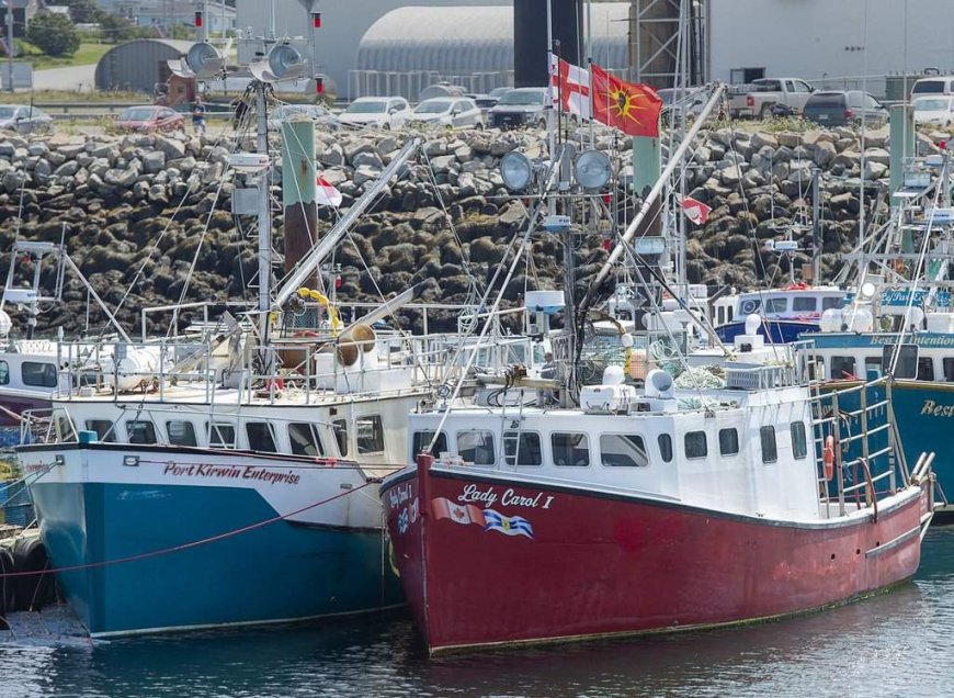 N.S. fishers plan appeal after court dismisses lobster treaty rights case