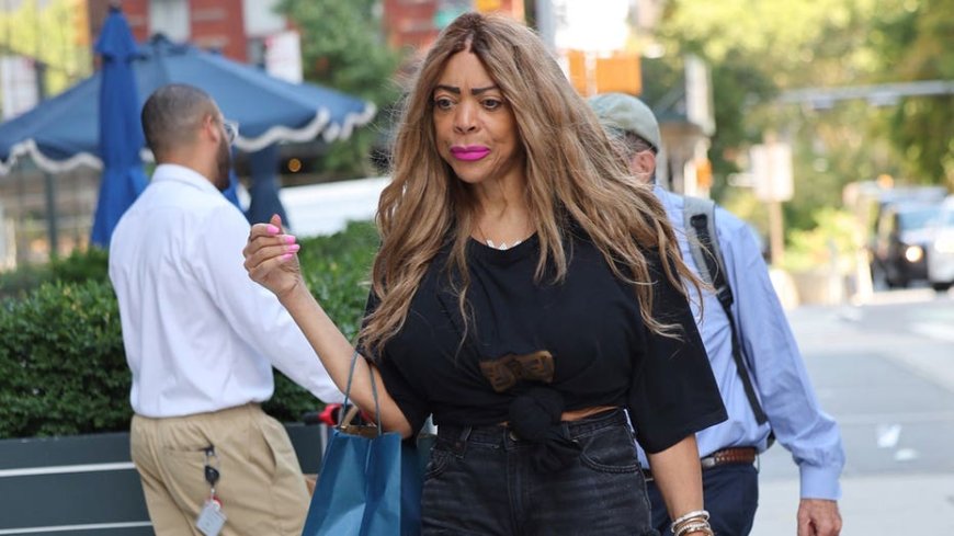 Wendy Williams delivers blunt 3-word plea in rare sighting amid guardianship battle