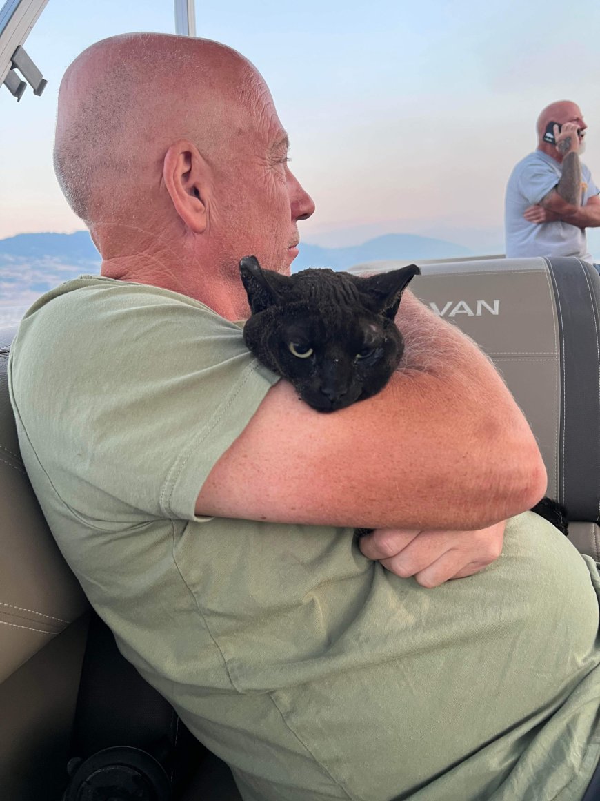 B.C. cat found on dock after Bradley Creek wildfire, burned and alone