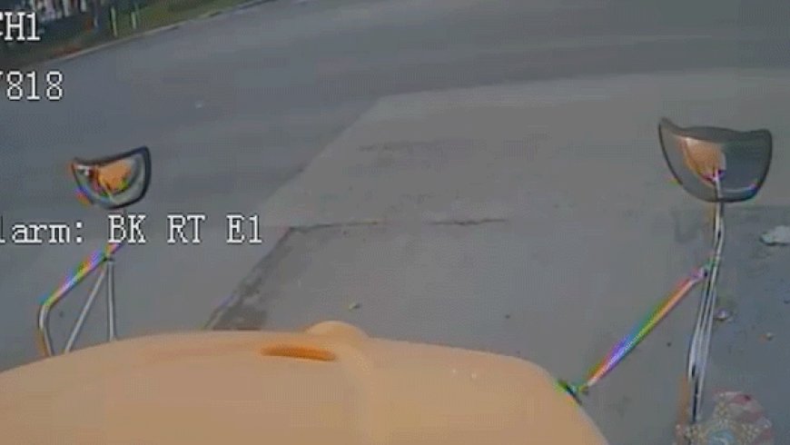 Florida driver fleeing traffic stop slams head-on into school bus carrying 19 children before fleeing on foot