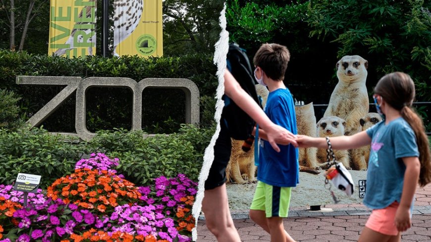 Gender equity, DEI, climate action: How the Smithsonian’s woke push ‘infiltrated’ America's most beloved Zoo