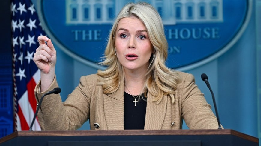 Karoline Leavitt invited as a guest on ABC's 'The View' after leaving White House role