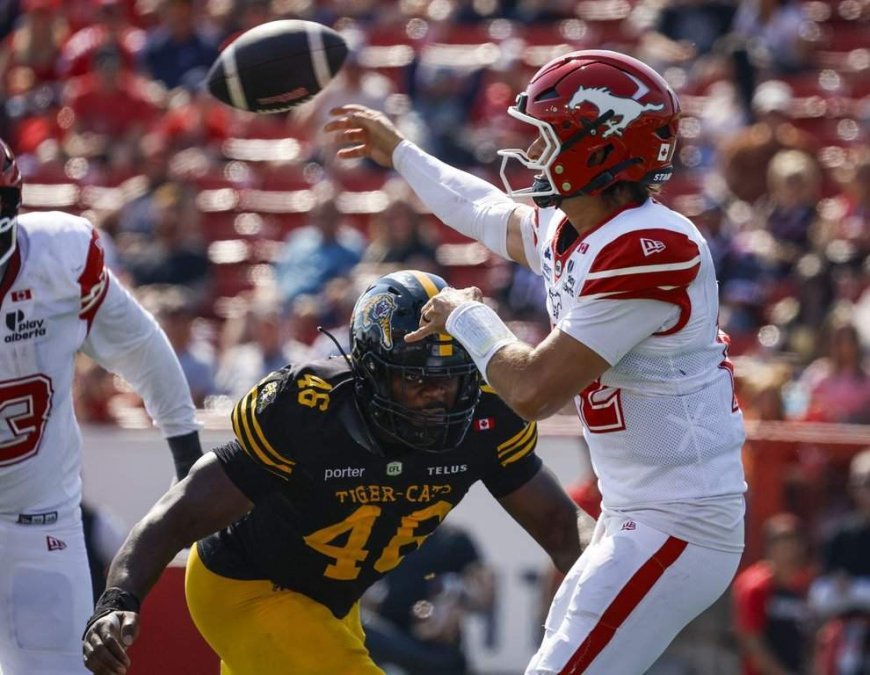 Stampeders score late for 28-23 win over Ticats