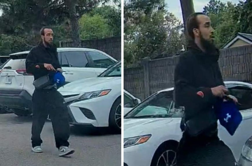Suspect wanted for attempted murder after Mississauga double stabbing: police