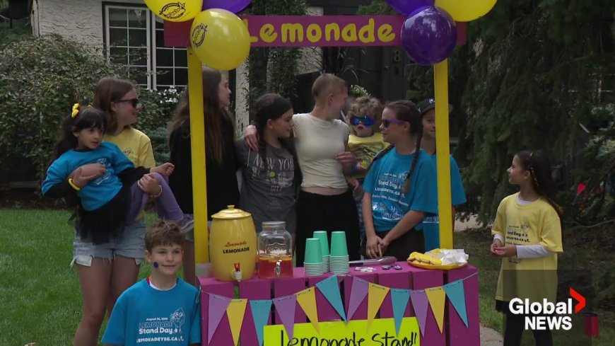 More than 700 participants for 2026 Lemonade Stand Day in Edmonton