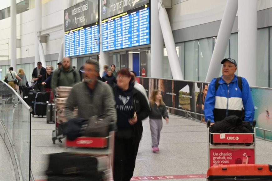 Montreal woman searches for cat last seen at Toronto Pearson airport