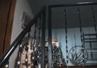Washington homeowner hears mysterious banging, calls 911 before police find growling bobcat at top of stairs