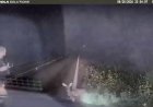 Texas deputy screams and runs after 'dead' deer springs to feet in viral encounter