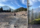 Hikers stranded on Mount Shasta after relying on AI to plan trip, sheriff says
