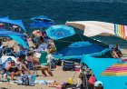 How a booming coastal escape learned to coexist with the ocean’s top predator