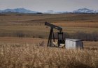 Alberta landowners challenge ‘chronic underfunding’ for orphan well cleanup