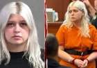 Innocent woman says police use of Flock camera led to 13 days in jail