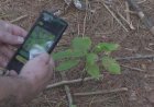 WildQuest app turns wildlife photography into a game for citizen scientists