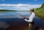 Bear tries to steal one too many fish off of fisherman's line, gets charged at with pole in hand