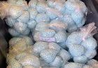 Manhattan prostitute pleads guilty to killing 3 men with fentanyl-laced drugs in robbery scheme