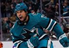 Winnipeg native Ryan Reaves retires after 16 NHL seasons