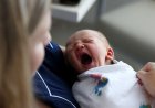 Massachusetts' plan to offer postpartum screening home visits sparks online debate
