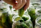 Pickle-flavored snacks boom as sales jump 30% and craze hits new extremes